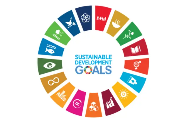 The 17 Sustainable development goals (SDGs), Mena Impact
