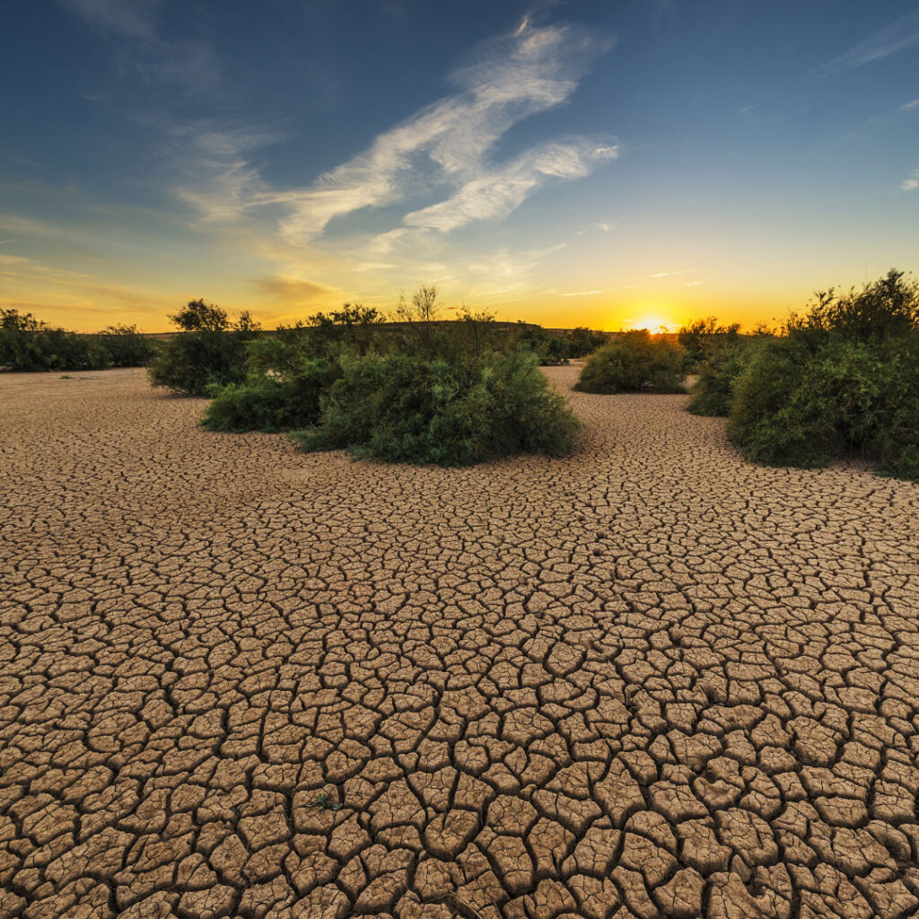 Intro To Climate Change Course Cover with desert and green plants